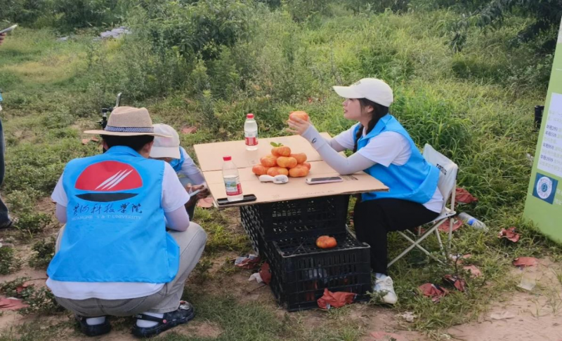 微信图片_20250719153057