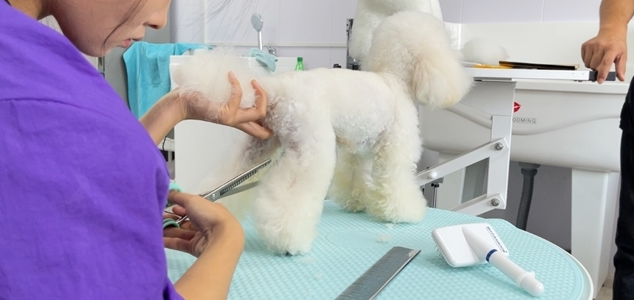 微信图片_2026-03-12_220238_343