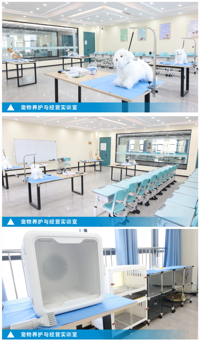 微信图片_2026-03-12_220248_655