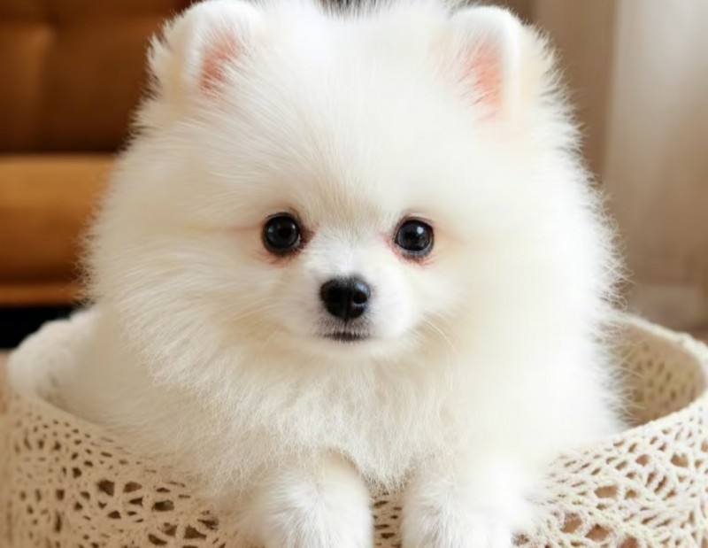 Screenshot_2026-03-17-17-46-31-88_a2db1b9502c98f25523e43284b79cce6