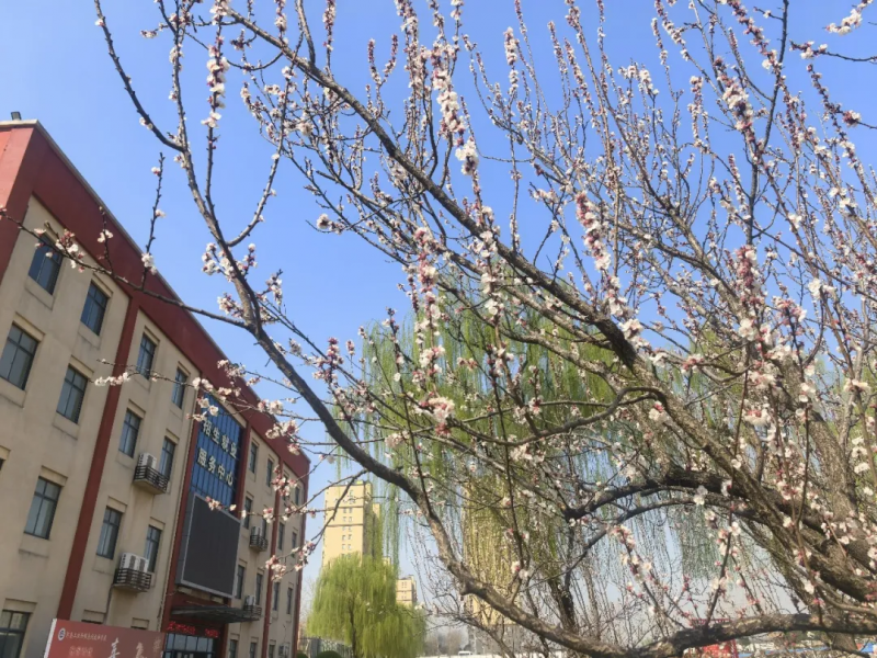 微信图片_20260508165219_476_1