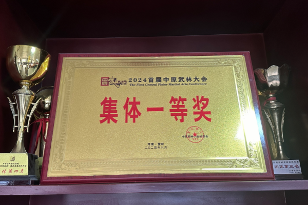 登封市嵩山少林文武学校